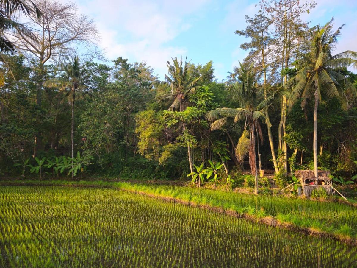 Pondok Diana Yuki Jasri Luaran gambar